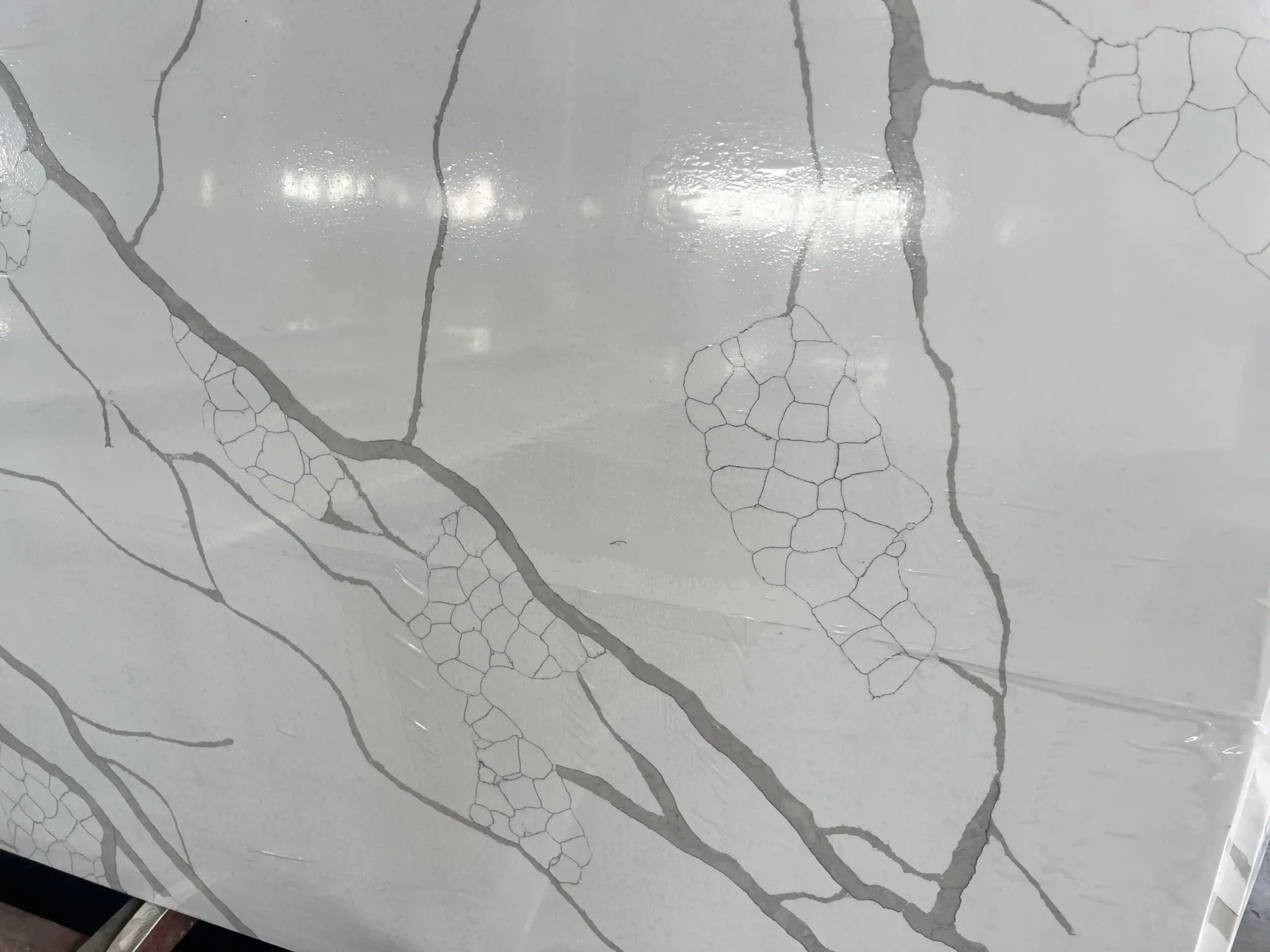 Detailed gray veining across a polished white quartz surface